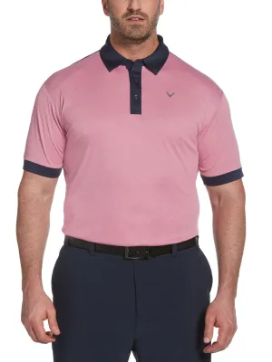 Big & Tall Birdseye Color Block Polo