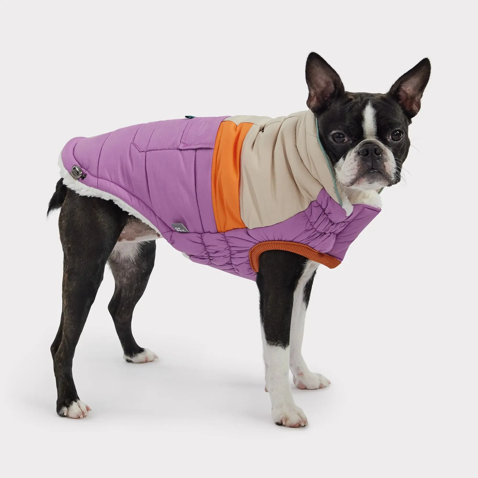 Camplife Dog Puffer | Purple