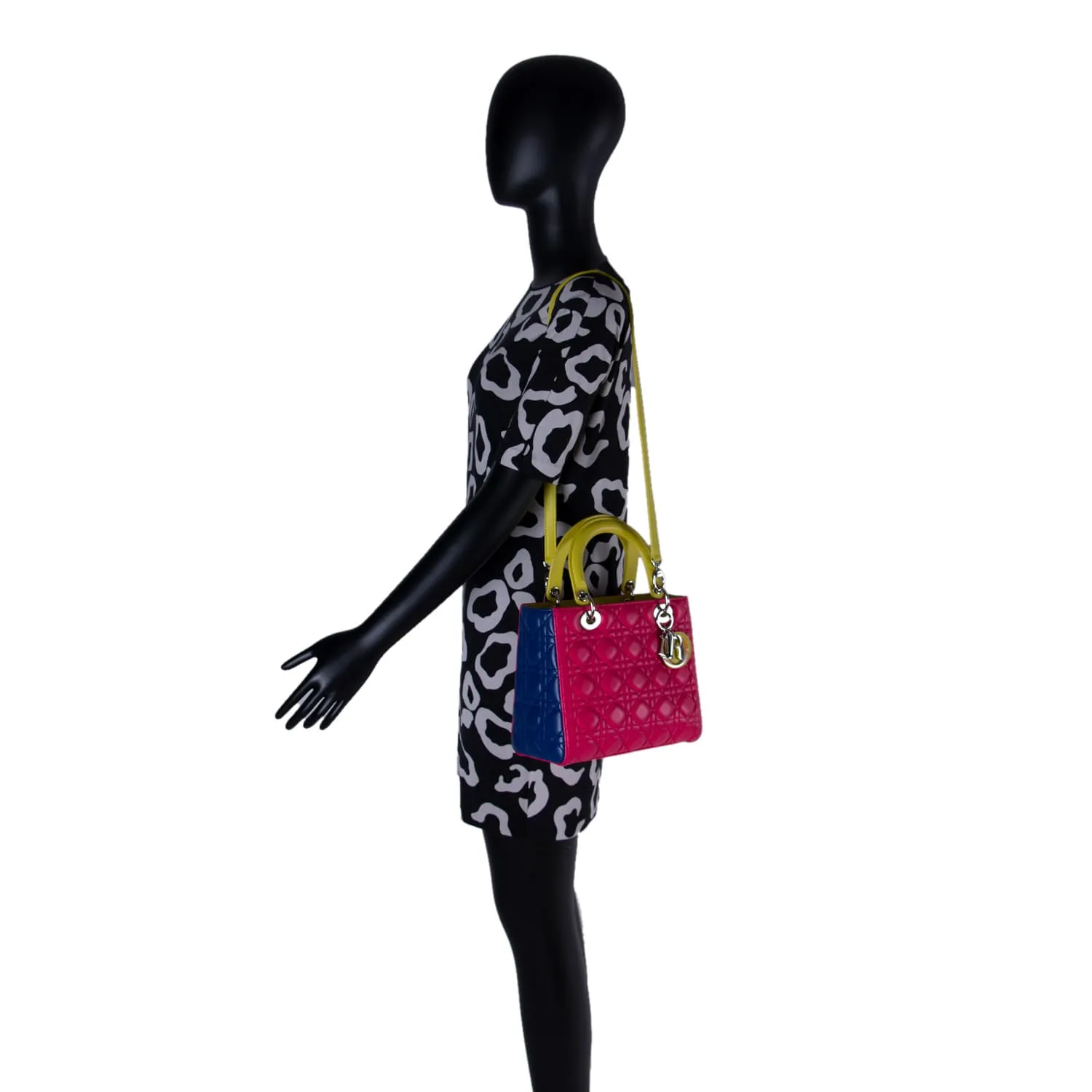 Christian Dior Limited Edition Medium Lady Dior