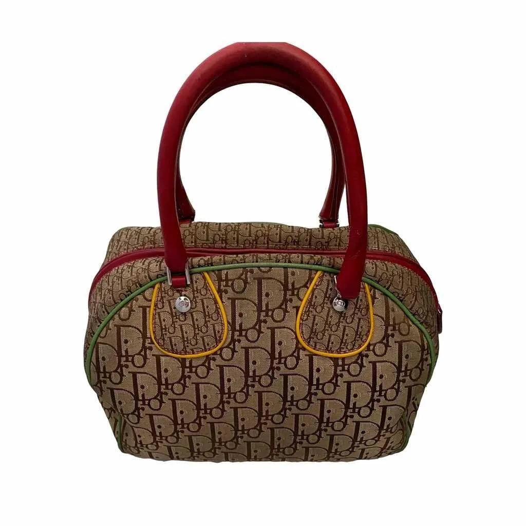 Dior Multicolor Rasta Bowler Bag