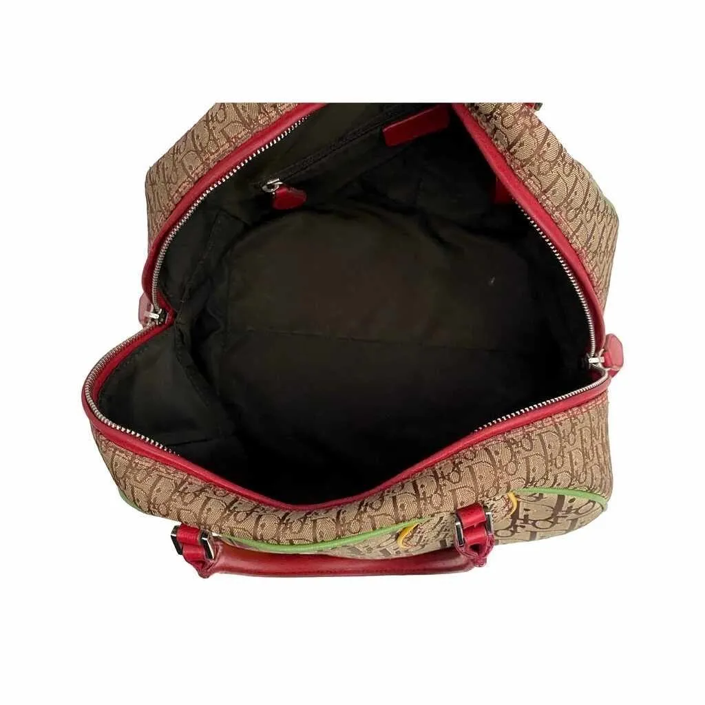 Dior Multicolor Rasta Bowler Bag