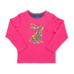 Mountain Hare Top