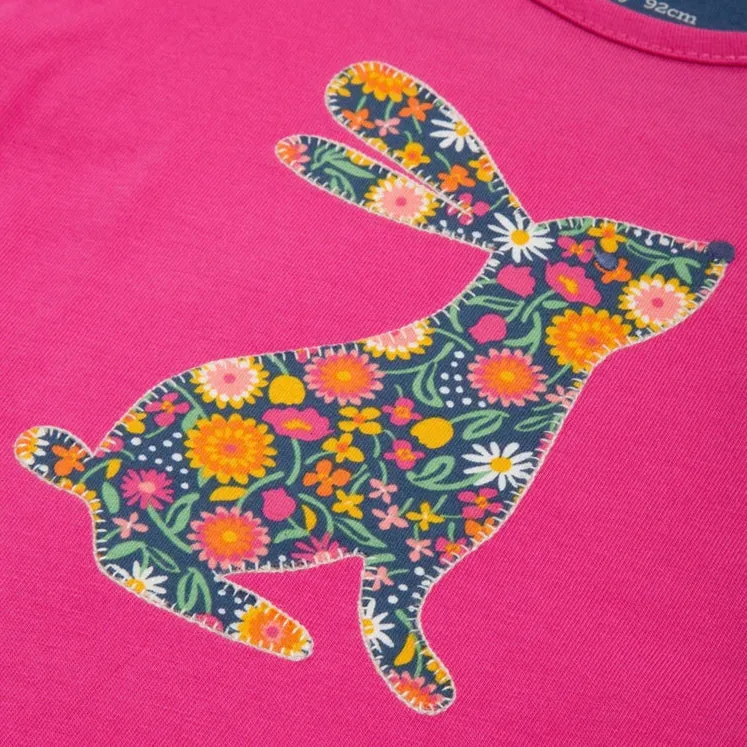 Mountain Hare Top