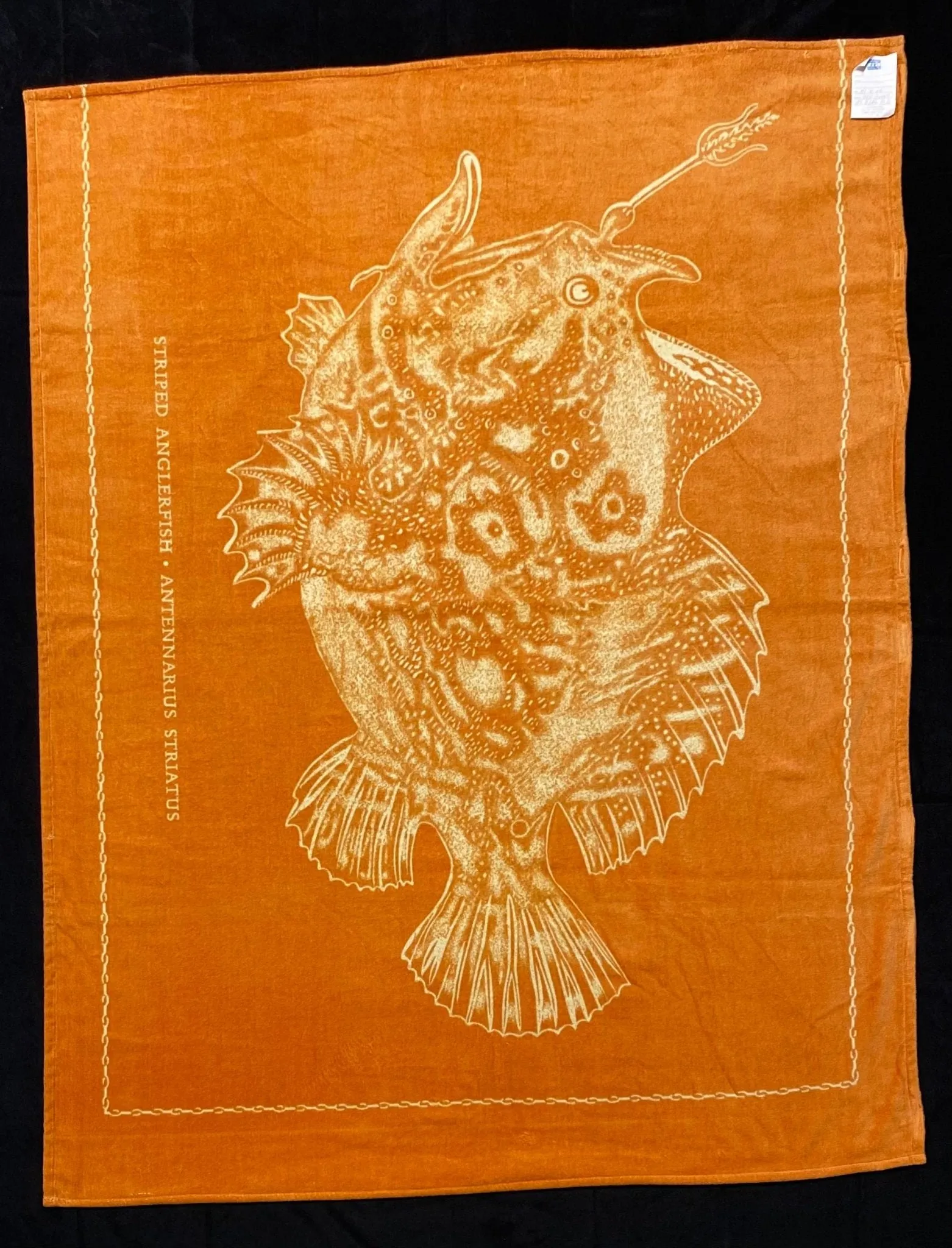 Orange Striped Angler Fish