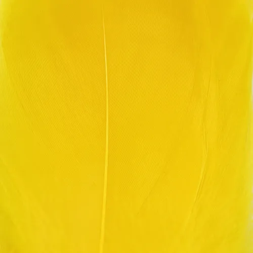Select Goose Shoulder