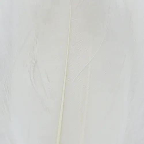 Select Goose Shoulder