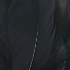 Select Goose Shoulder