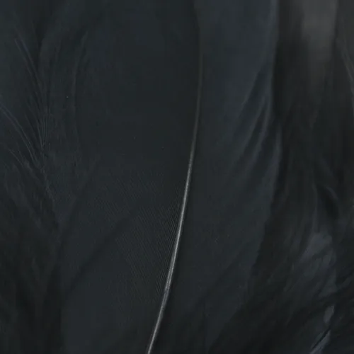 Select Goose Shoulder