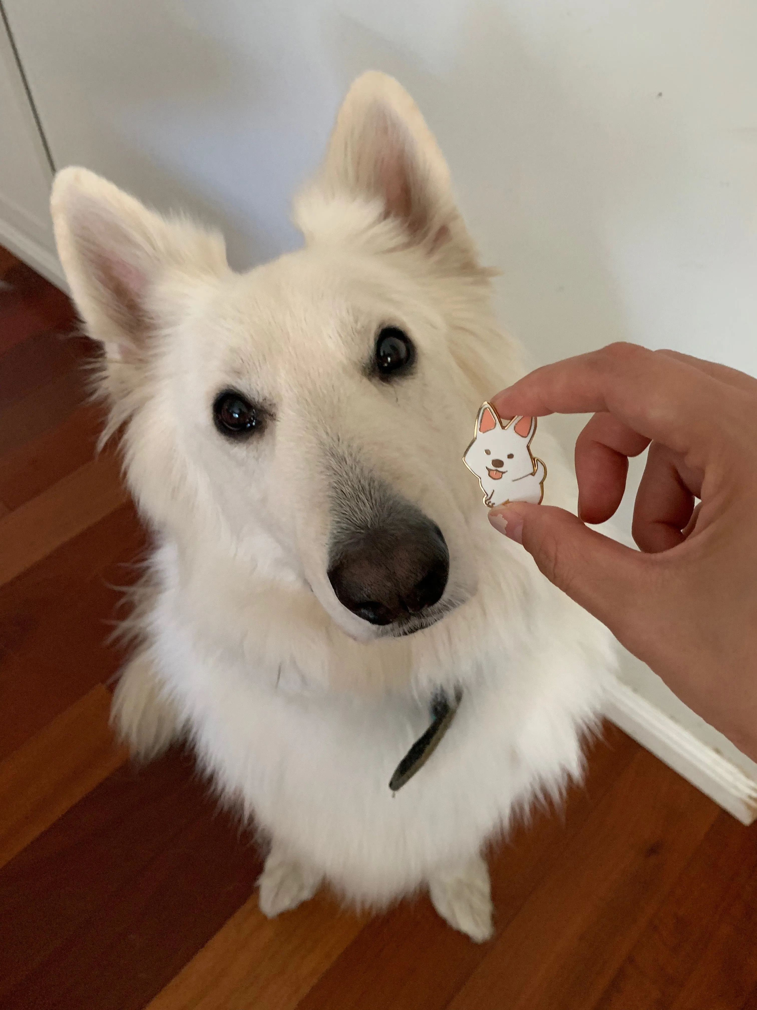 Strider White Dog Enamel Pin