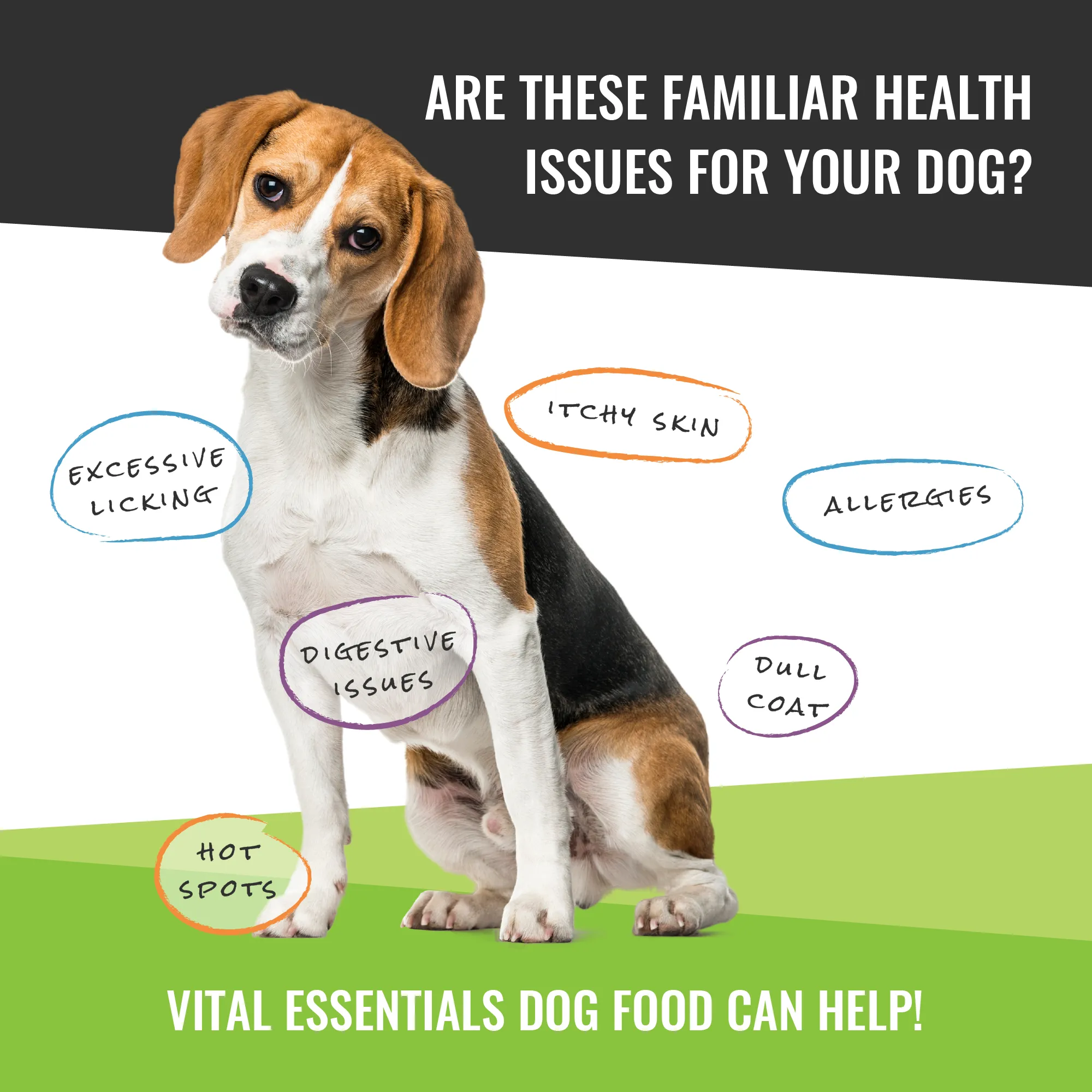Vital Essentials Freeze-Dried Salmon Skins Dog Treats