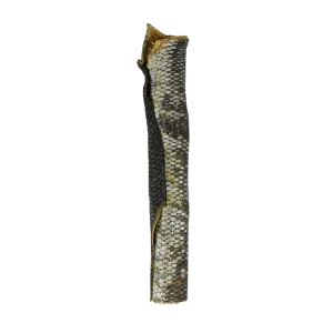 Vital Essentials Freeze-Dried Salmon Skins Dog Treats